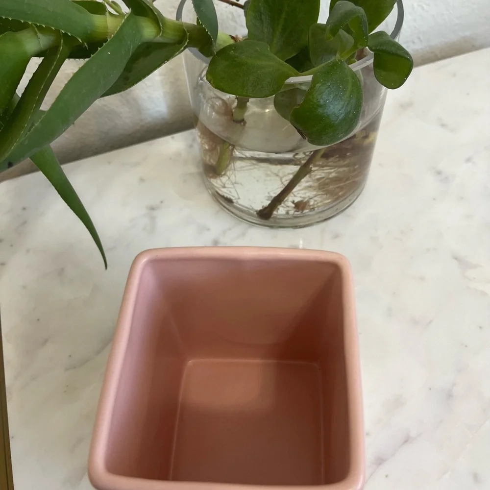 New Rae Dunn Write ceramic pen pencil cup.